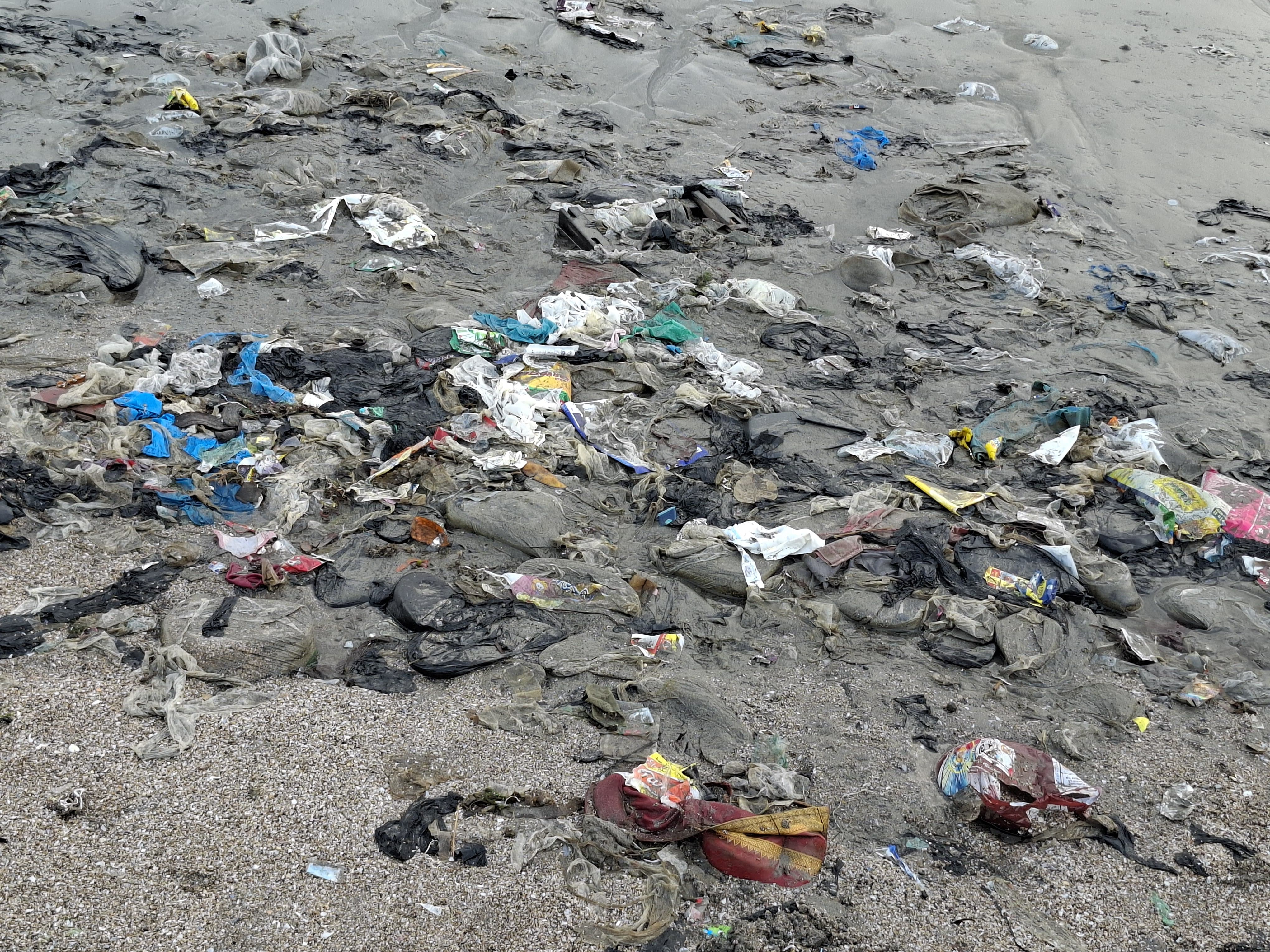 Collected waste from the Prabhadevi Beach cleanup in June 2026